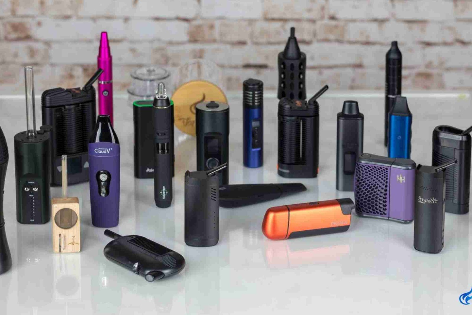 Starter Kits 2024