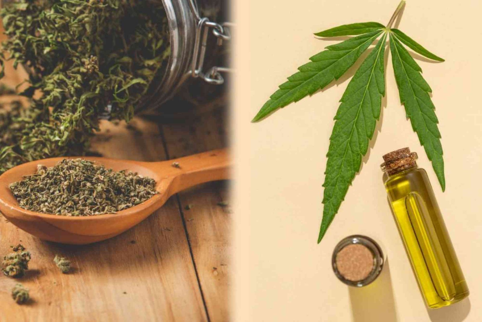 CBD Blog Summary UAE
