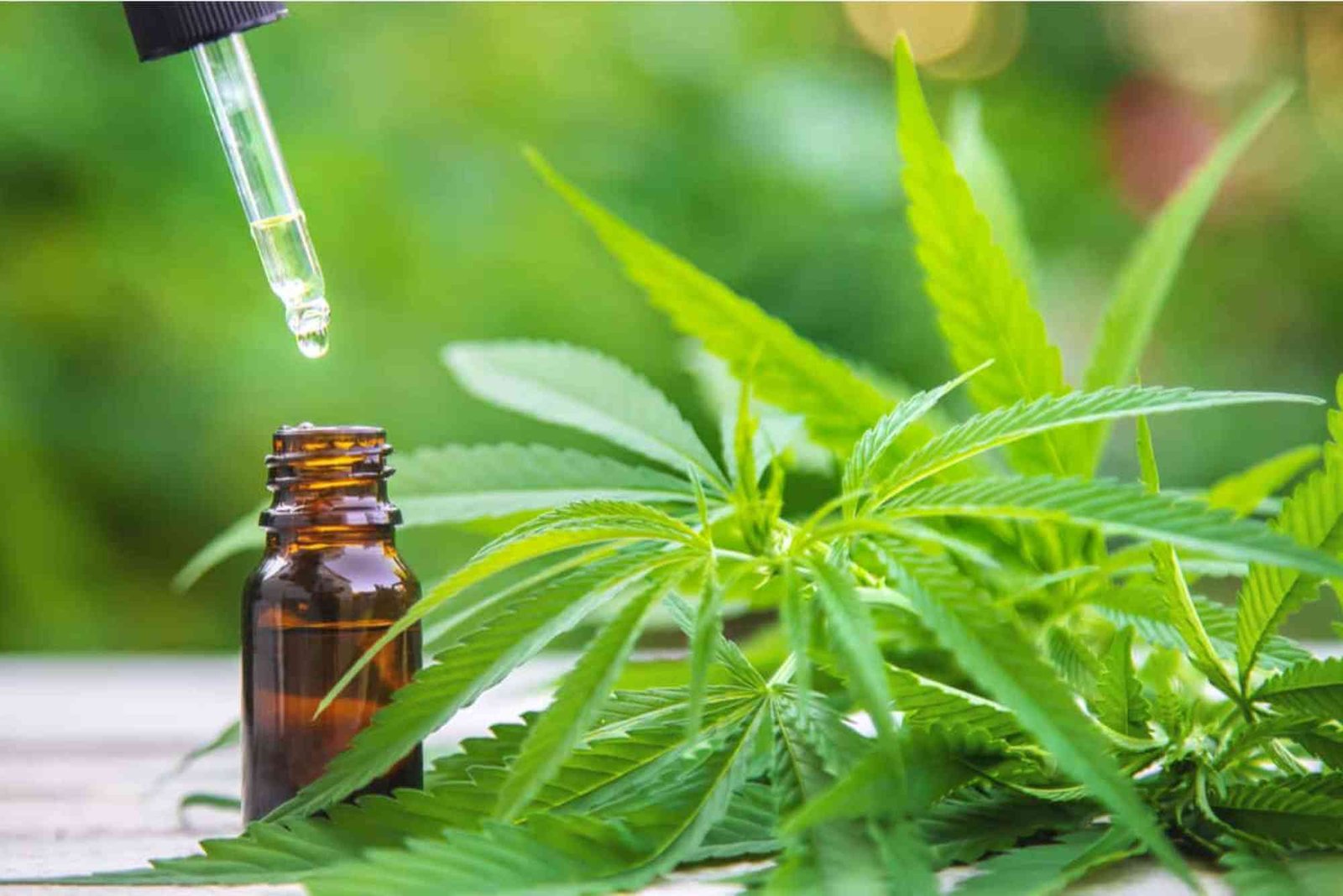 CBD Ramadan 2026 UAE
