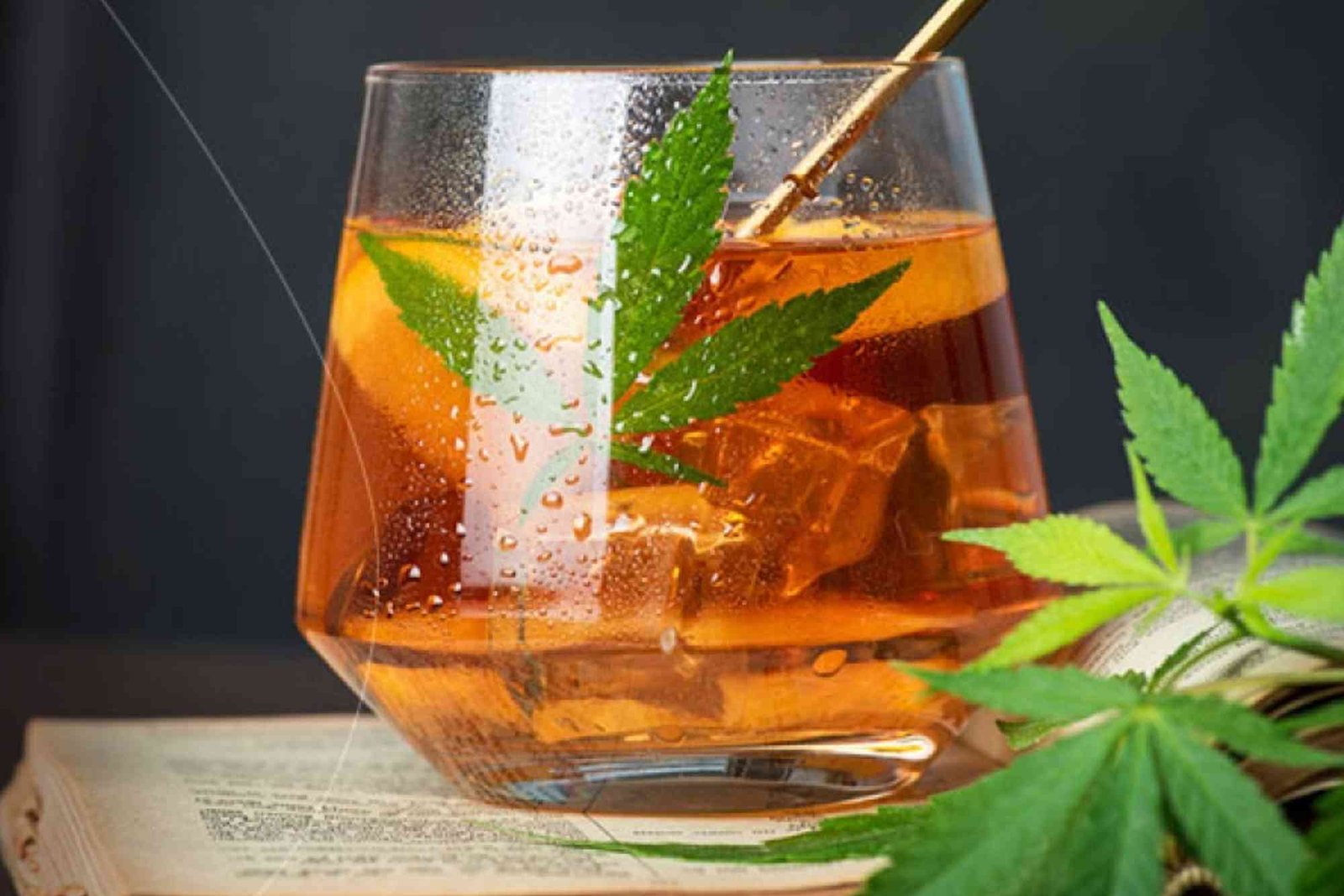 CBD Types UAE