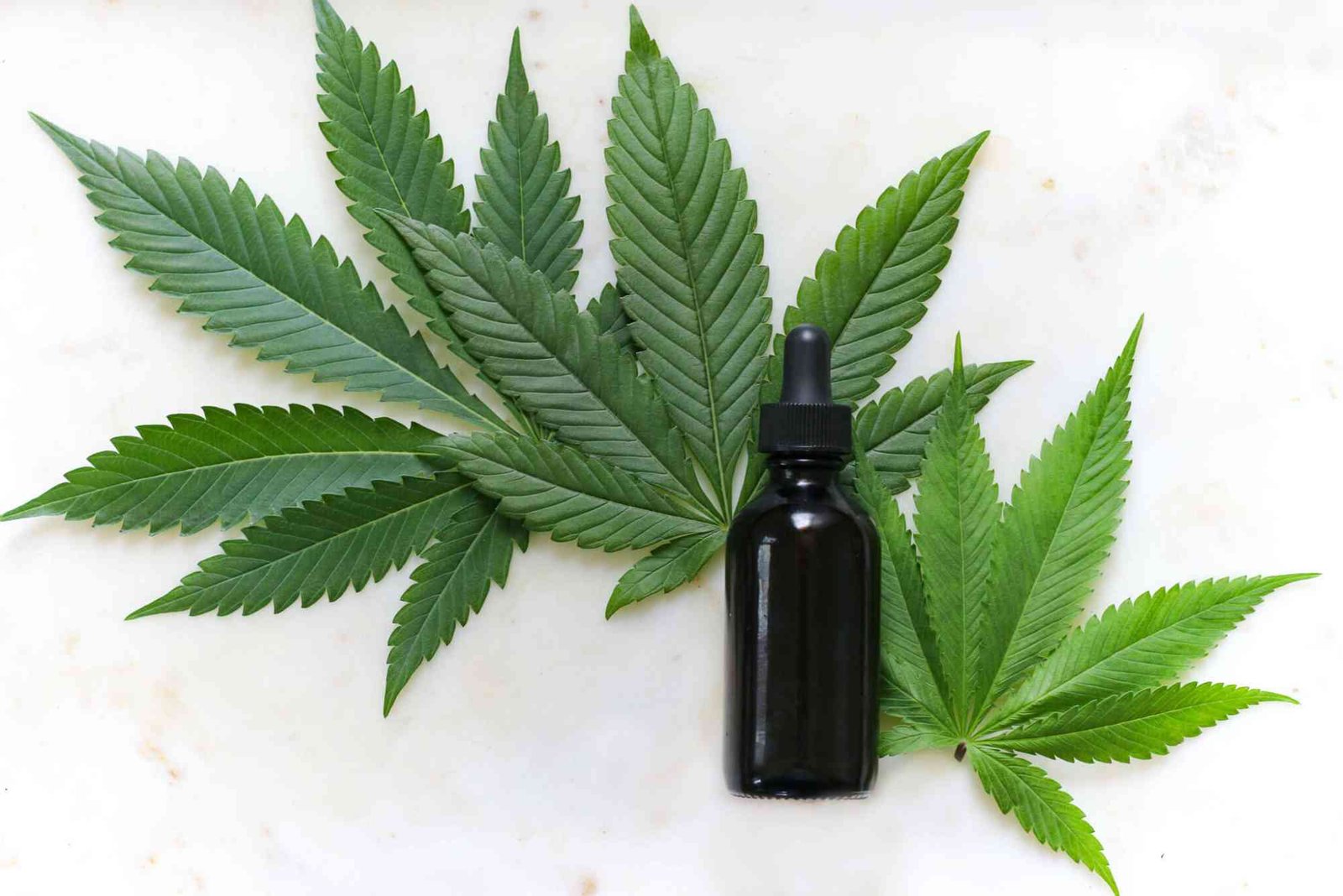 CBD UAE VS Saudi