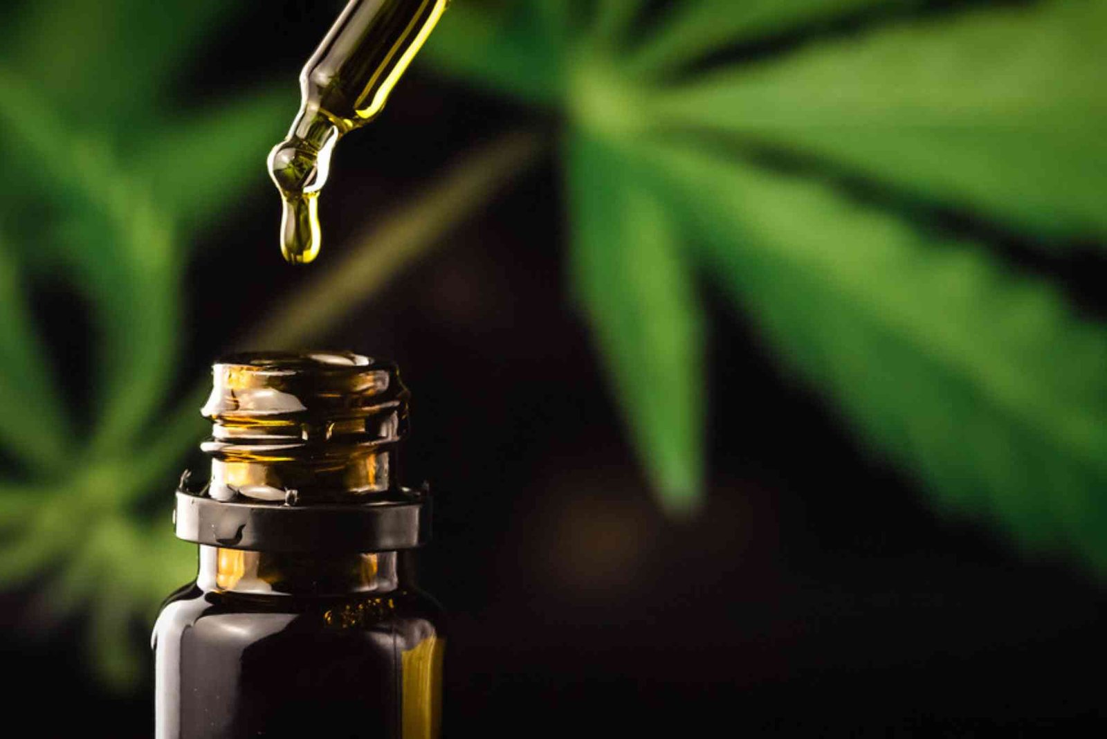 CBD Pharmacy UAE