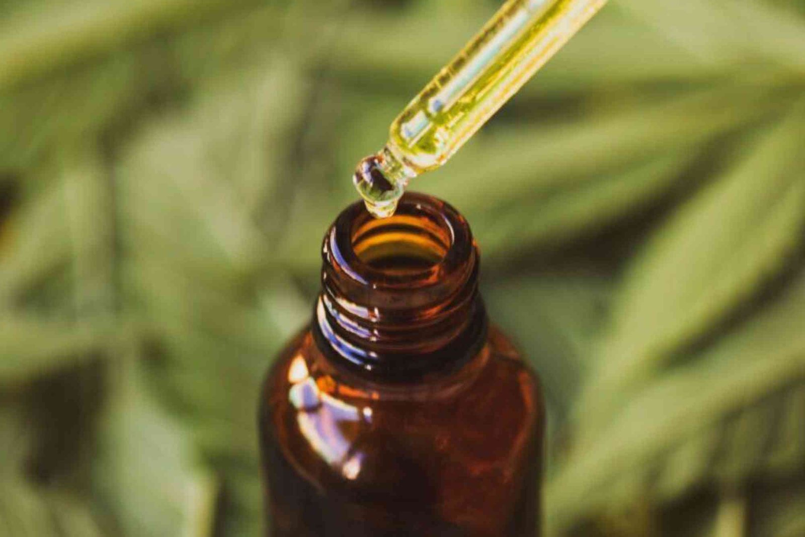 CBD Ramadan Use UAE